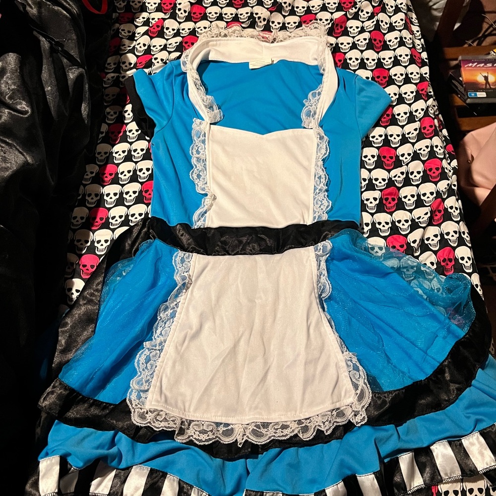 Woman’s Medium Costume Dress